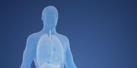 On-Demand und Live-CME von DocCheck