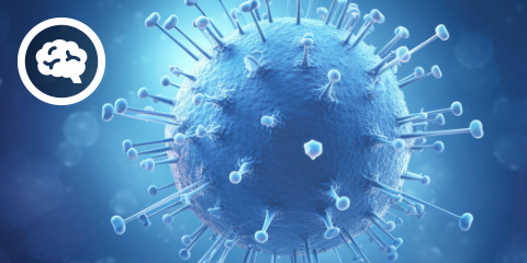 DocCheck CMEasy: Impfupdate COVID-19, Influenza & RSV (1 CME-Punkt)
