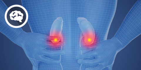 DocCheck eCME: CKDaP (2 CME-Punkte)