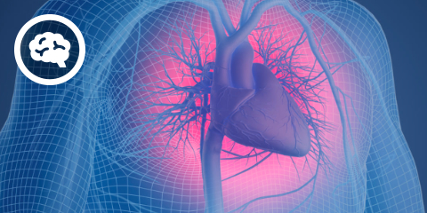DocCheck eCME: Hypertonie (2 CME-Punkte)
