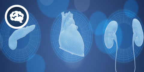 DocCheck eCME: metabolisches Trio (2 CME-Punkte)