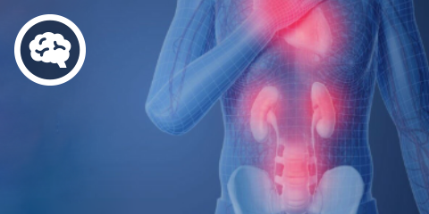 DocCheck eCME: Blut mit Botschaft (2 CME-Punkte)