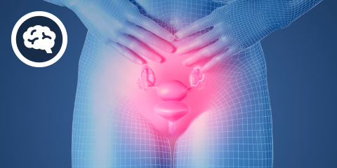 DocCheck eCME: PMS & HWI (2 CME-Punkte)