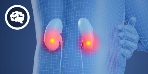 DocCheck eCME: Pruritus (2 CME-Punkte)