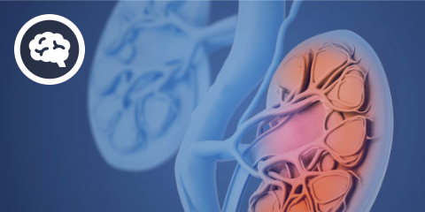 DocCheck eCME: CKD (2 CME-Punkte)