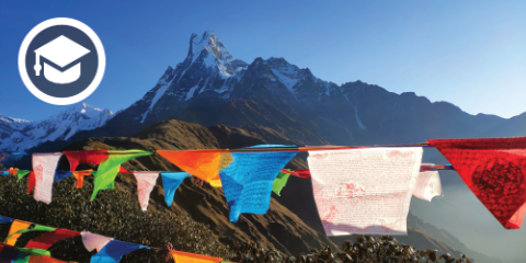 Merksong – Hirnnerven