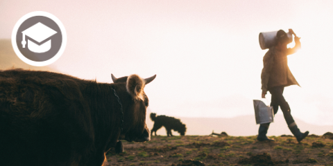Merksong – Auskultationspunkte