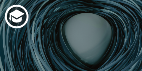 Merkspruch – Knöcherne Anteile Orbita