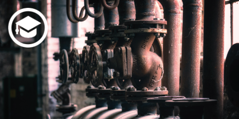 Merkspruchvideo – Herzklappen