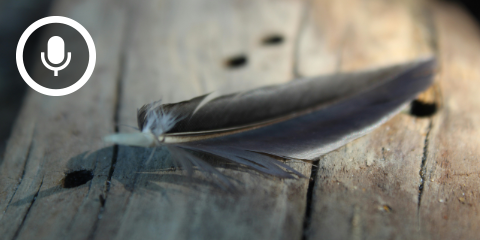 LightLinie – Schizophrenie